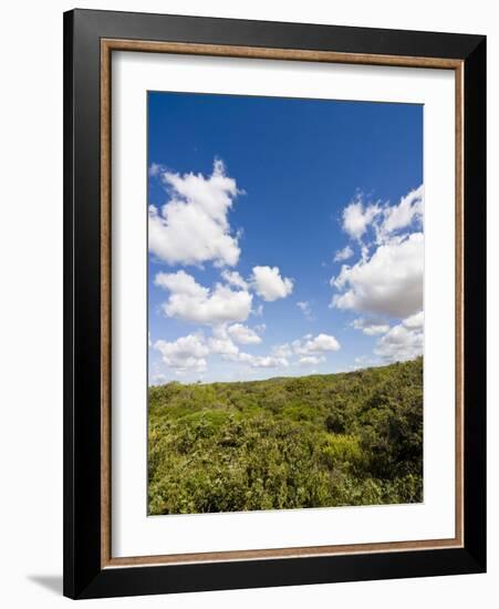 Dunes and Mediterranean Bush Behind Capalbio Beach, Capalbio, Grosseto Province, Tuscany, Italy-Nico Tondini-Framed Photographic Print