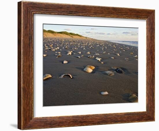 Dunes and Seashells on Padre Island, Texas, USA-Larry Ditto-Framed Photographic Print