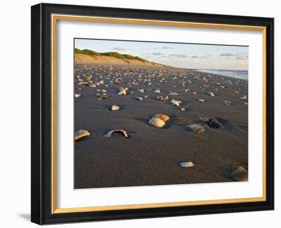 Dunes and Seashells on Padre Island, Texas, USA-Larry Ditto-Framed Photographic Print
