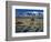 Dunes and Tumbleweeds, Walker Lake, Mt. Grant in Wassuk Range, Nevada, USA-Scott T^ Smith-Framed Photographic Print