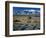 Dunes and Tumbleweeds, Walker Lake, Mt. Grant in Wassuk Range, Nevada, USA-Scott T^ Smith-Framed Photographic Print