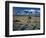 Dunes and Tumbleweeds, Walker Lake, Mt. Grant in Wassuk Range, Nevada, USA-Scott T^ Smith-Framed Photographic Print