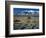 Dunes and Tumbleweeds, Walker Lake, Mt. Grant in Wassuk Range, Nevada, USA-Scott T^ Smith-Framed Photographic Print