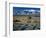 Dunes and Tumbleweeds, Walker Lake, Mt. Grant in Wassuk Range, Nevada, USA-Scott T^ Smith-Framed Photographic Print