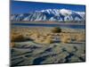 Dunes and Tumbleweeds, Walker Lake, Mt. Grant in Wassuk Range, Nevada, USA-Scott T^ Smith-Mounted Photographic Print