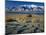 Dunes and Tumbleweeds, Walker Lake, Mt. Grant in Wassuk Range, Nevada, USA-Scott T^ Smith-Mounted Photographic Print