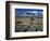 Dunes and Tumbleweeds, Walker Lake, Mt. Grant in Wassuk Range, Nevada, USA-Scott T^ Smith-Framed Photographic Print