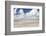 Dunes at a Beach, Sankt Peter Ording, Eiderstedt Peninsula, Schleswig Holstein, Germany, Europe-Markus Lange-Framed Photographic Print