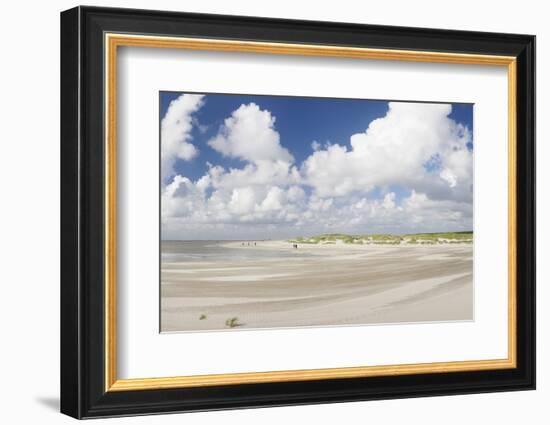 Dunes at a Beach, Sankt Peter Ording, Eiderstedt Peninsula, Schleswig Holstein, Germany, Europe-Markus Lange-Framed Photographic Print