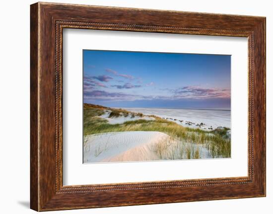 Dunes at Dusk, Amrum Island, Northern Frisia, Schleswig-Holstein, Germany-Sabine Lubenow-Framed Photographic Print