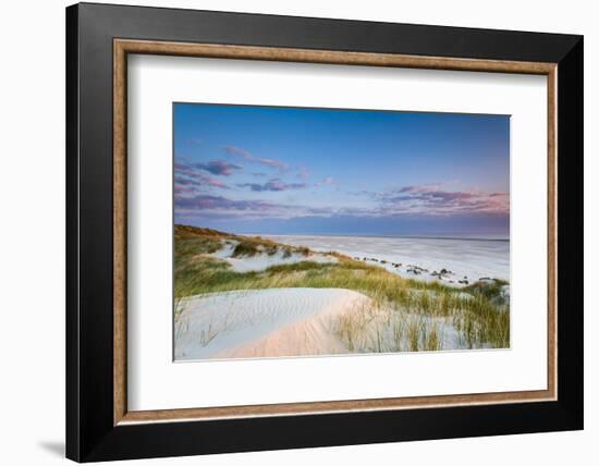 Dunes at Dusk, Amrum Island, Northern Frisia, Schleswig-Holstein, Germany-Sabine Lubenow-Framed Photographic Print