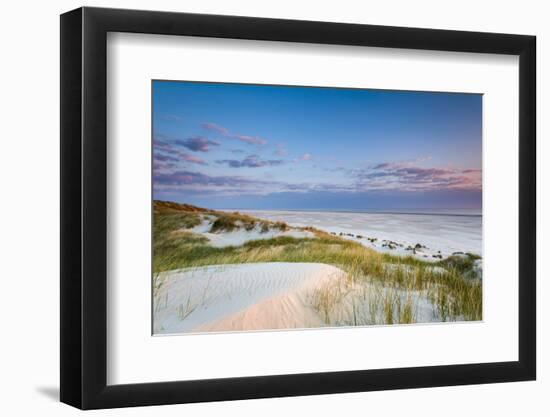 Dunes at Dusk, Amrum Island, Northern Frisia, Schleswig-Holstein, Germany-Sabine Lubenow-Framed Photographic Print