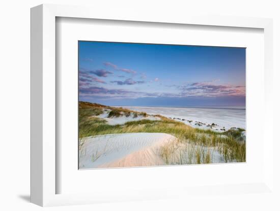 Dunes at Dusk, Amrum Island, Northern Frisia, Schleswig-Holstein, Germany-Sabine Lubenow-Framed Photographic Print