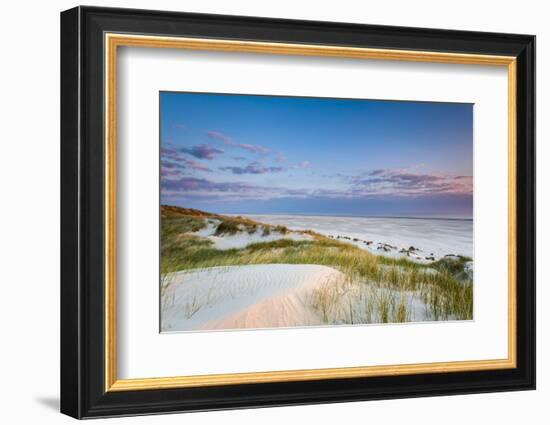 Dunes at Dusk, Amrum Island, Northern Frisia, Schleswig-Holstein, Germany-Sabine Lubenow-Framed Photographic Print