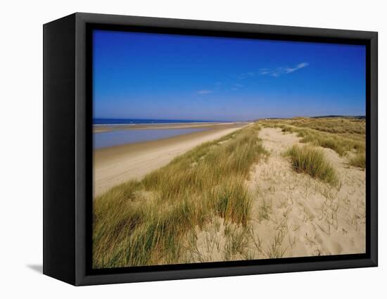 Dunes at Hardelot Plage, Near Boulogne, Pas-De-Calais, France, Europe-David Hughes-Framed Premier Image Canvas