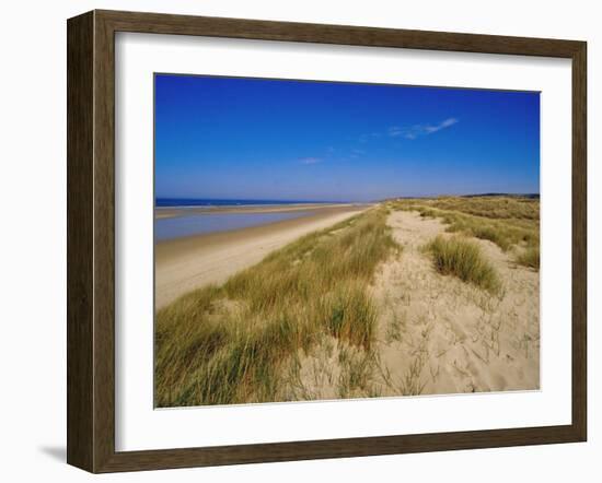 Dunes at Hardelot Plage, Near Boulogne, Pas-De-Calais, France, Europe-David Hughes-Framed Photographic Print