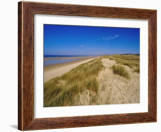 Dunes at Hardelot Plage, Near Boulogne, Pas-De-Calais, France, Europe-David Hughes-Framed Photographic Print