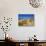 Dunes at Hardelot Plage, Near Boulogne, Pas-De-Calais, France, Europe-David Hughes-Photographic Print displayed on a wall