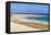 Dunes at Playa De Sotavento-Markus Lange-Framed Premier Image Canvas
