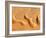 Dunes from Above, Sossusvlei, Namib-Naukluft National Park, Namib Desert, Namibia, Africa-Nadia Isakova-Framed Photographic Print