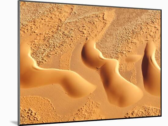 Dunes from Above, Sossusvlei, Namib-Naukluft National Park, Namib Desert, Namibia, Africa-Nadia Isakova-Mounted Photographic Print