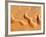 Dunes from Above, Sossusvlei, Namib-Naukluft National Park, Namib Desert, Namibia, Africa-Nadia Isakova-Framed Photographic Print