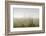 Dunes, Grass, the North Sea, Island Langeoog, Fog-Roland T.-Framed Photographic Print