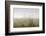 Dunes, Grass, the North Sea, Island Langeoog, Fog-Roland T.-Framed Photographic Print