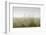 Dunes, Grass, the North Sea, Island Langeoog, Fog-Roland T.-Framed Photographic Print