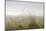 Dunes, Grass, the North Sea, Island Langeoog, Fog-Roland T.-Mounted Photographic Print