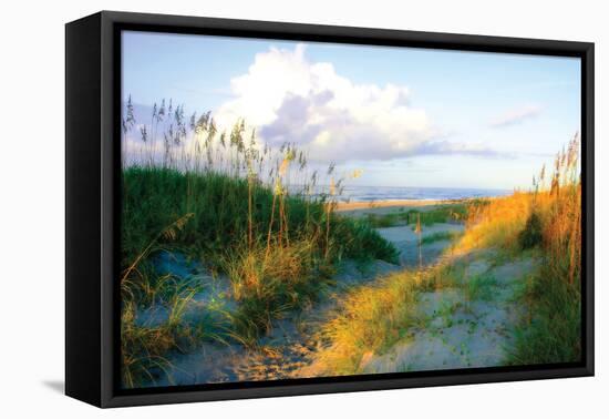 Dunes I-Alan Hausenflock-Framed Premier Image Canvas