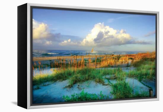 Dunes I-Alan Hausenflock-Framed Premier Image Canvas