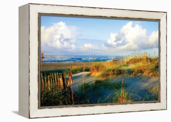 Dunes II-Alan Hausenflock-Framed Premier Image Canvas