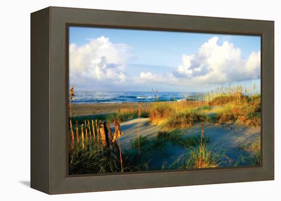 Dunes II-Alan Hausenflock-Framed Premier Image Canvas