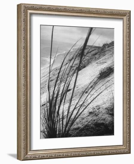 Dunes in the Cape Cod National Park-Ralph Morse-Framed Photographic Print