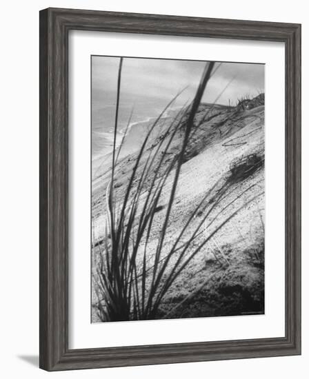 Dunes in the Cape Cod National Park-Ralph Morse-Framed Photographic Print