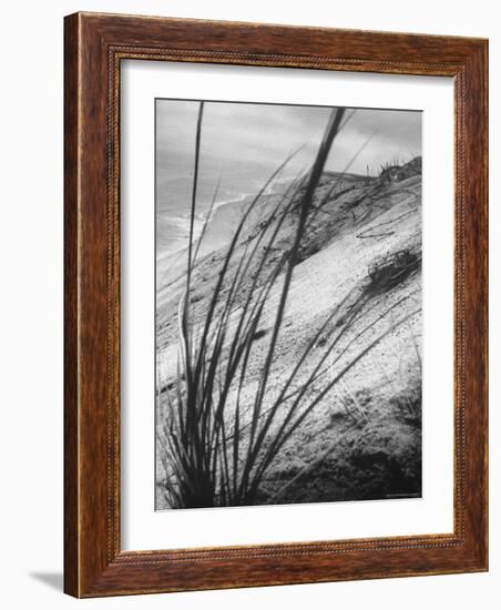 Dunes in the Cape Cod National Park-Ralph Morse-Framed Photographic Print