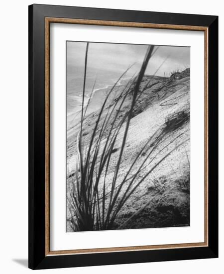 Dunes in the Cape Cod National Park-Ralph Morse-Framed Photographic Print