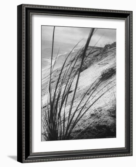 Dunes in the Cape Cod National Park-Ralph Morse-Framed Photographic Print