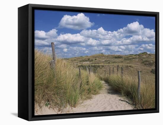 Dunes, Le Touquet, Nord Pas De Calais, France, Europe-Thouvenin Guy-Framed Premier Image Canvas