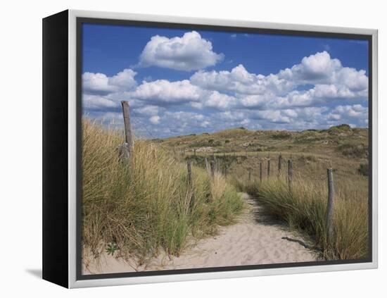 Dunes, Le Touquet, Nord Pas De Calais, France, Europe-Thouvenin Guy-Framed Premier Image Canvas