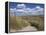 Dunes, Le Touquet, Nord Pas De Calais, France, Europe-Thouvenin Guy-Framed Premier Image Canvas