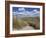 Dunes, Le Touquet, Nord Pas De Calais, France, Europe-Thouvenin Guy-Framed Photographic Print