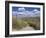 Dunes, Le Touquet, Nord Pas De Calais, France, Europe-Thouvenin Guy-Framed Photographic Print