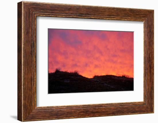 Dunes, nature, grass, summer, evening-Nora Frei-Framed Photographic Print