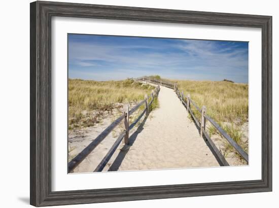 Dunes on Cape Cod National Sea Shore in Cape Cod, Boston, Usa-null-Framed Photographic Print