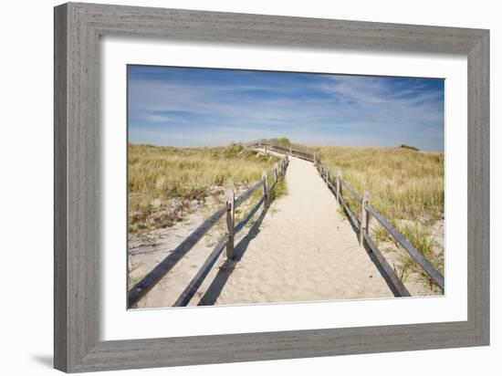 Dunes on Cape Cod National Sea Shore in Cape Cod, Boston, Usa-null-Framed Photographic Print