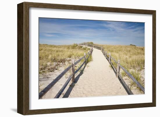 Dunes on Cape Cod National Sea Shore in Cape Cod, Boston, Usa--Framed Photographic Print