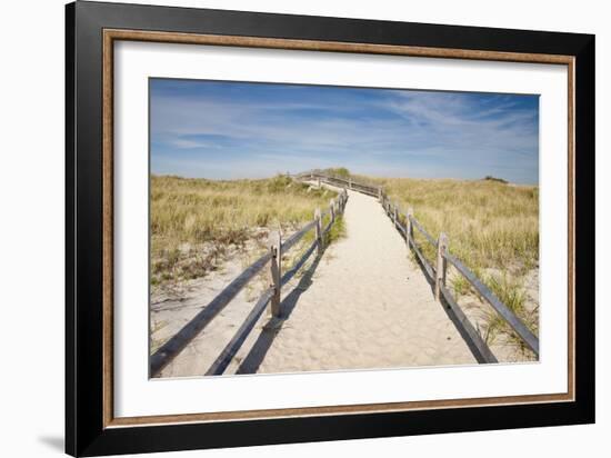 Dunes on Cape Cod National Sea Shore in Cape Cod, Boston, Usa-null-Framed Photographic Print