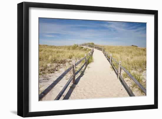 Dunes on Cape Cod National Sea Shore in Cape Cod, Boston, Usa--Framed Photographic Print